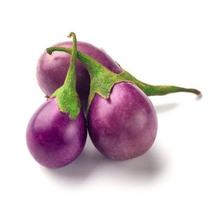 Eggplant Pink Small