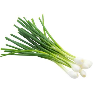Fresh Spring Onion