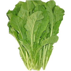 Fresh Rocca Leaves