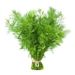 Fresh Dill