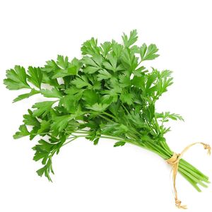 Fresh Premium Parsley