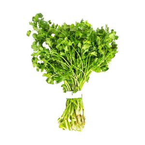 Fresh Premium Coriander (Cilantro)