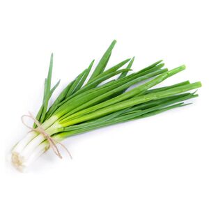 Fresh Premium Spring Onion