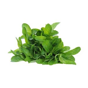 Fresh Premium Mint
