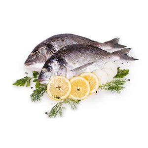 Fresh Fish Seabream Tunisia