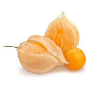Physalis 100Gm