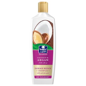Parachute Advansed Shampoo Coconut & Argan 340Ml