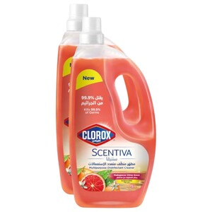 Clorox Disinfectant Cleaner Madagascar Citrus 1.5L X2