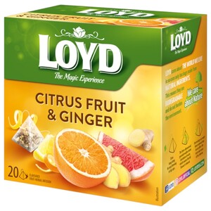 Loyd Tea Pyramid Citrus Fruits And Ginger 20 Tea Bags
