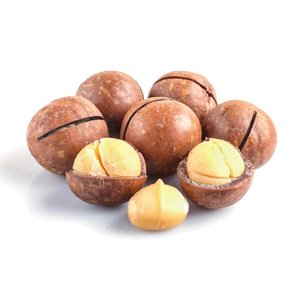 Macadamia Shell/500Gm
