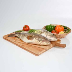 Fresh Hamour Uae