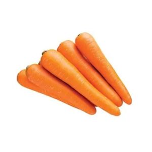 Carrot