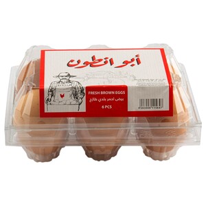 Abou Antoun Eggs Brown 6 Pieces