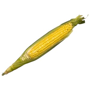 Corn