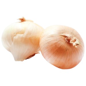 Egyptian Onion