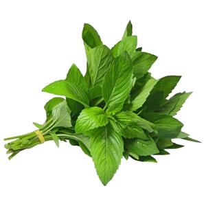 Mint