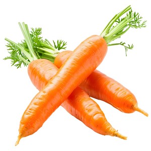 Carrot
