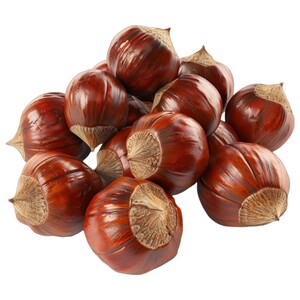 Chestnut
