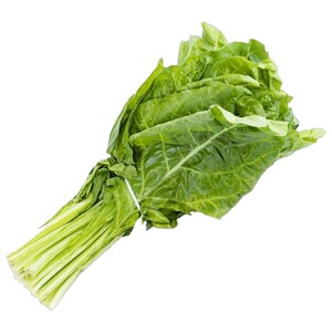 Selek