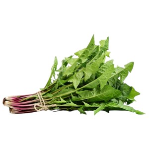 Green Dandelion/Hendbeh