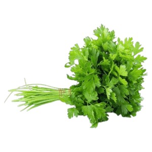 Coriander/Kezbara