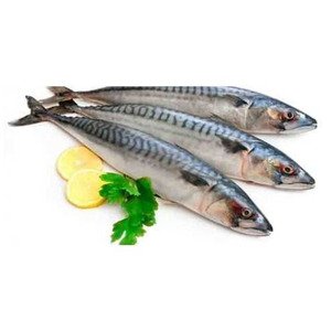 Fish King Fish
