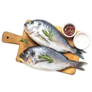 Fish Seabream