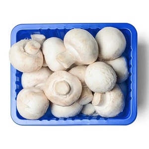 Fresh Mushroom Oman Pack