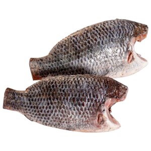 Fresh Tilapia Headless & Gutted