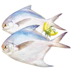 Silver Pomfret 200/300 Whole - Uncleaned