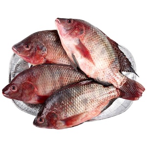 Fish Tilapia Promotion