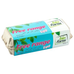 Bio Farm Free Range Eggs 10 Pieces
