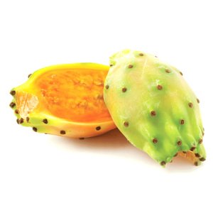 Cactus - صبار