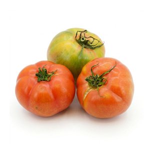 Tomato Rose - بندورة زهرية