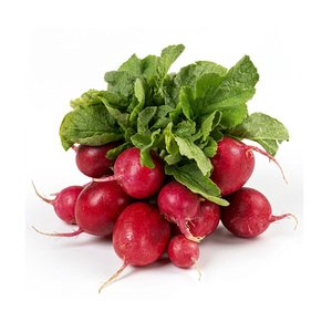 Radish - فجل