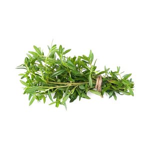 Thyme Green - زعتر أخضر
