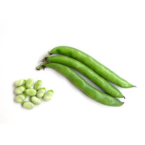 Fresh Fava - فول أخضر