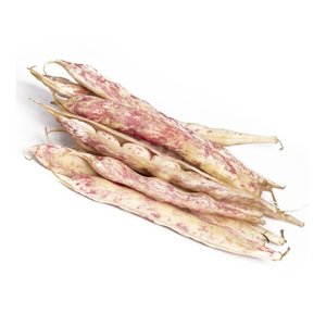 Alubia Fresh Beans - عائشة خانم