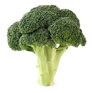 Broccoli - بروكلي