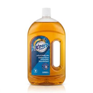 Xpert Antibacterial Antiseptic Disinfectant Liquid 1 L