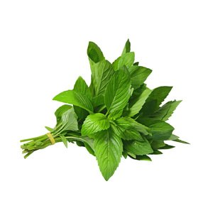 Mint - نعنع أخضر