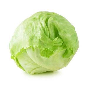 Lettuce Iceberg - خس ايسبورغ
