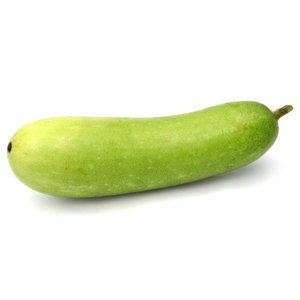 Squash - قرع