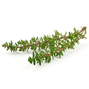 Thyme Wild - زعتر بري