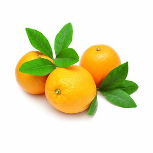 Orange Navel Egypt Premium Kg