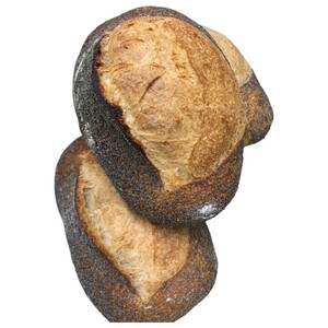 Sofi De France Pain Rustique Levain Naturel Avec Pavot