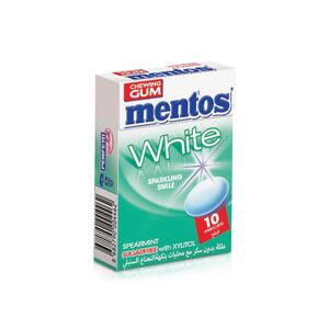 Mentos White Spearmint Gum 14.5 Gr