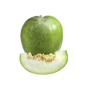 Ash Gourd