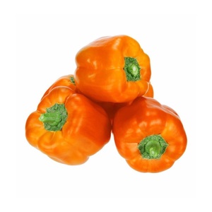 Capsicum Orange