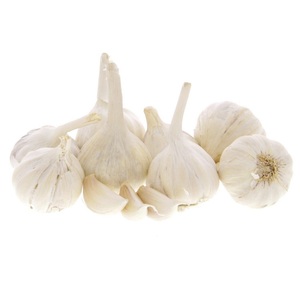 Garlic India